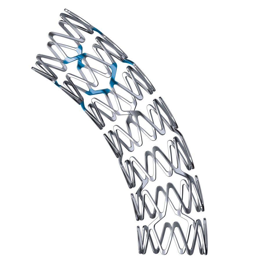 REBEL™ Platinum Chromium Coronary Stent System Boston Scientific